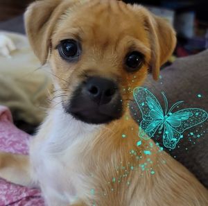 Meet your Posher, Vicki